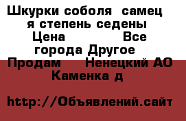 Шкурки соболя (самец) 1-я степень седены › Цена ­ 12 000 - Все города Другое » Продам   . Ненецкий АО,Каменка д.